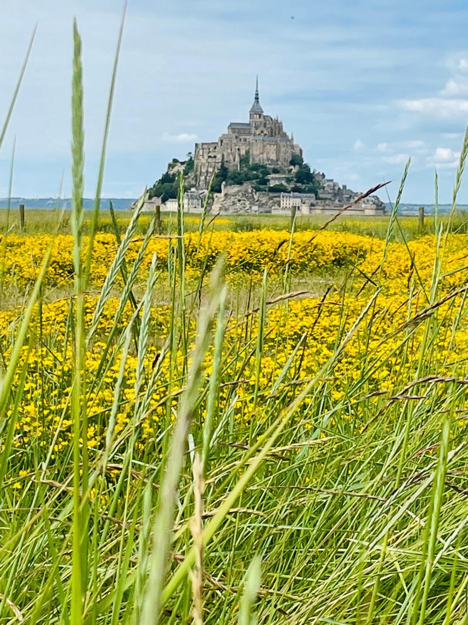 Апартаменты Chez Trotro Saint-Pierre-de-Plesguen Экстерьер фото
